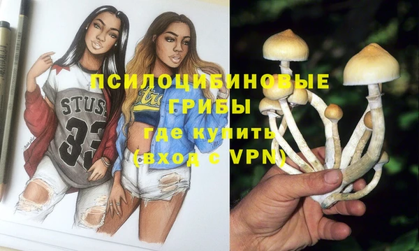 круглые Белокуриха