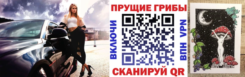 Галлюциногенные грибы Psilocybine cubensis  Каменск-Уральский 